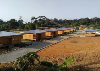 Crise du logement au Gabon : et si la solution se trouvait dans la forêt ?