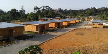 Crise du logement au Gabon : et si la solution se trouvait dans la forêt ?