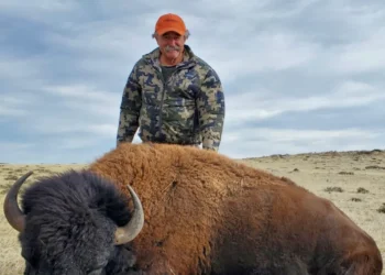 Fait-divers : un riche chasseur américain tué par des éléphants dans une forêt au Gabon