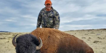 Fait-divers : un riche chasseur américain tué par des éléphants dans une forêt au Gabon
