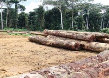 Observatoire indépendant : Une stratégie nationale de la Société Civile adoptée au Gabon