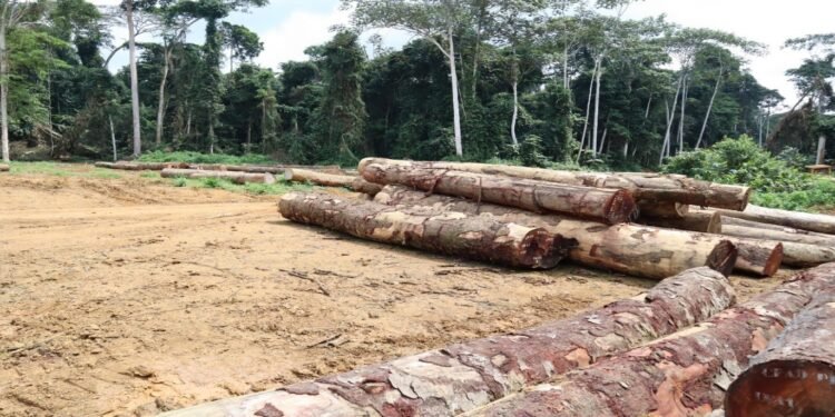 Observatoire indépendant : Une stratégie nationale de la Société Civile adoptée au Gabon