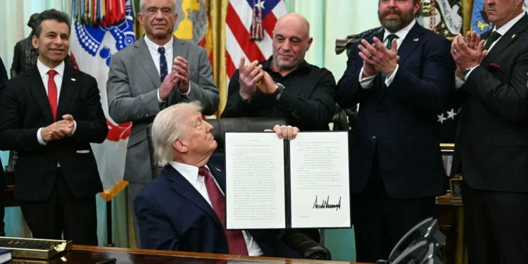 Iboga : le Gabon à l’épreuve de sa souveraineté