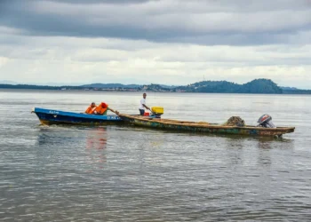 Ressource halieutique : le fleuve Nyanga et la lagune Ndongou en proie à une crise de poisson