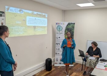 One Forest Vision : six doctorants empruntent le chemin de la recherche