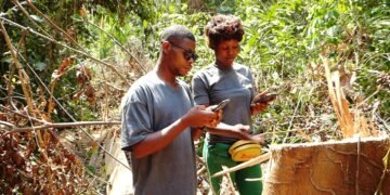 Secteur forestier : les femmes marginalement occupées dans le secteur   