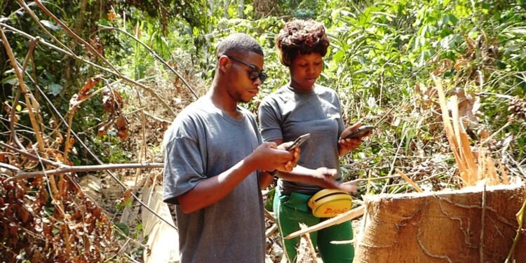 Secteur forestier : les femmes marginalement occupées dans le secteur   