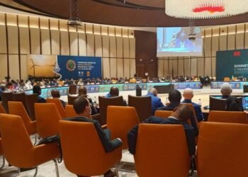 Fonds Bleu pour le Bassin du Congo : derrière l&rsquo;ambition environnementale, quel modèle économique réel ?