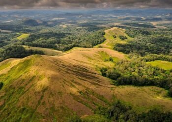 Biodiversité et climat: les chiffres contestés d’un récit environnemental sous tension au Gabon
