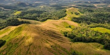 Biodiversité et climat: les chiffres contestés d’un récit environnemental sous tension au Gabon