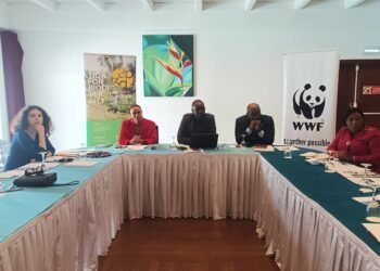BIODEV 2030 : bilan du projet par le WWF et clap de fin au Gabon