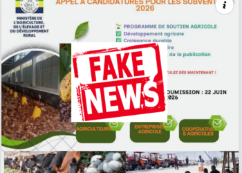 Subventions agricoles : le ministère de l’Agriculture alerte sur une fausse campagne en ligne
