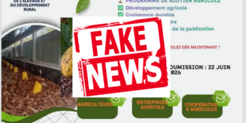 Subventions agricoles : le ministère de l’Agriculture alerte sur une fausse campagne en ligne