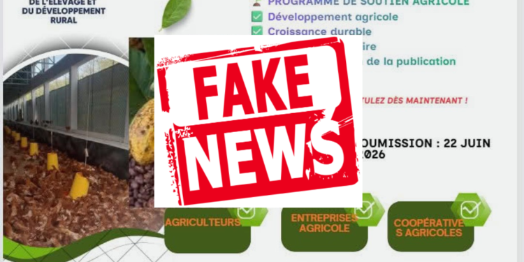 Subventions agricoles : le ministère de l’Agriculture alerte sur une fausse campagne en ligne