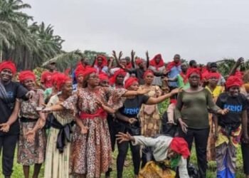 Communiqué : des ONGs et partenaires apportent leur soutien à la communauté d’Apouh à Ngog suite à l&rsquo;affaire Socapalm concernant des terres ancestrales