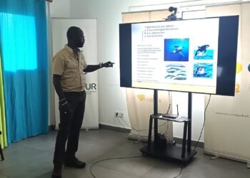 Tourisme : Guides touristiques et communicateurs environnementaux édifiés sur les baleines à bosse