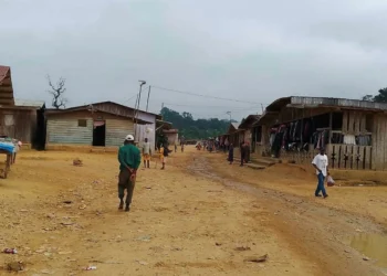 Etéké : 55 personnes interpellées pour orpaillage clandestin