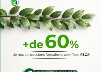 Biocapacité du Gabon : un communiqué de l’AGADEV fragilisé par des chiffres contestés