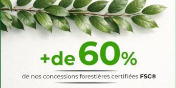 Biocapacité du Gabon : un communiqué de l&rsquo;AGADEV fragilisé par des chiffres contestés