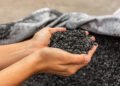 Transformation du manganèse : le biocharbon comme compensation carbone