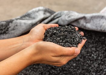 Transformation du manganèse : le biocharbon comme compensation carbone
