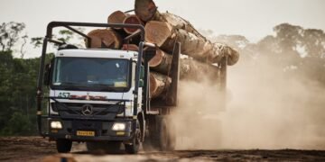 Forêt-Bois : au Gabon, le mirage d’une croissance sectorielle à deux chiffres