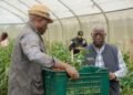 Raymond Ndong Sima : « Agropag est en train de mourir »