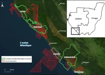 ENQUÊTE : au Gabon, l&rsquo;or noir empoisonne les aires protégées