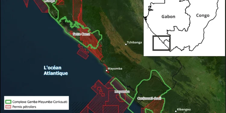 ENQUÊTE : au Gabon, l&rsquo;or noir empoisonne les aires protégées