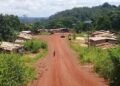 CAFI, GEF, crédits carbone, où va l’argent de la conservation au Gabon ?