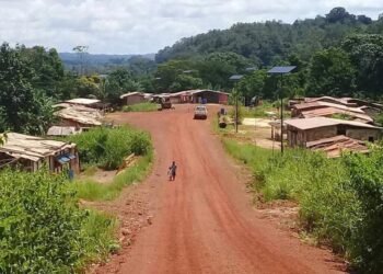 CAFI, GEF, crédits carbone, où va l’argent de la conservation au Gabon ?
