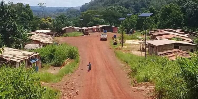 CAFI, GEF, crédits carbone, où va l’argent de la conservation au Gabon ?