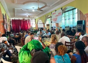 Dette et Ecologie : un mariage toxique pour les pays africains selon le CADTM