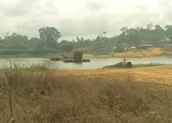 Sindara : quand une entreprise forestière décide qui traverse le fleuve