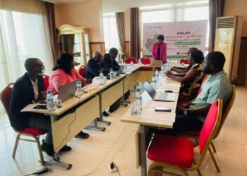 Transition énergétique au Gabon : les huit remèdes de la feuille de route nationale proposée par Brainforest et Cie