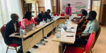 Transition énergétique au Gabon : les huit remèdes de la feuille de route nationale proposée par Brainforest et Cie