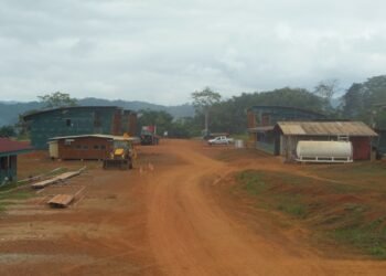 Formation : Oligui Nguema veut relancer les travaux de l’Ecole des Métiers du Bois de Booué