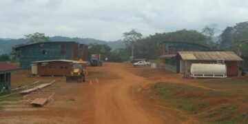 Formation : Oligui Nguema veut relancer les travaux de l’Ecole des Métiers du Bois de Booué
