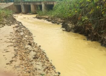 Kougouleu : la rivière polluée par une exploitation chinoise de sable trompeuse, Oligui Nguema interpellé   