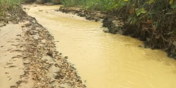 Kougouleu : la rivière polluée par une exploitation chinoise de sable trompeuse, Oligui Nguema interpellé