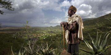 Financement forestier : au Gabon, Kenya, Éthiopie, Nigeria…les marques de l’espoir