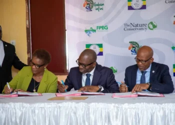Gabon Infini : le nouveau pacte vert à l’épreuve des critiques   
