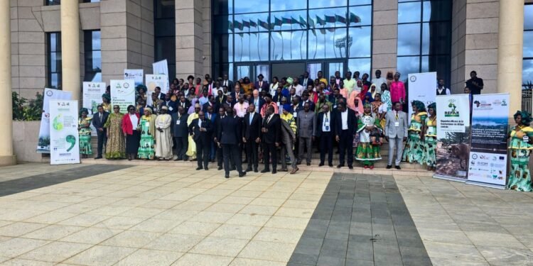 Climat et gouvernance forestière en Afrique centrale : mettre la science et le leadership parlementaire au service du bassin du Congo