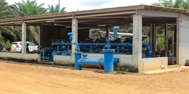Agro-industrie : face à la crise de l&rsquo;eau, Olam opte pour l’irrigation de ses plantations de palmier à huile. Mais à quel prix ?
