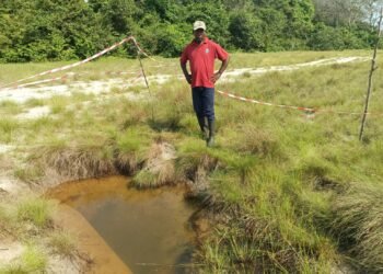 A Gamba, les séquelles du pétrole low-cost