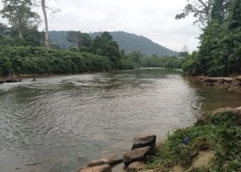 World Rivers Days : la Direction générale des Écosystèmes aquatiques sensibilise sur le rôle écologique des rivières
