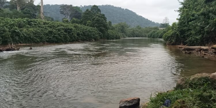 World Rivers Days : la Direction générale des Écosystèmes aquatiques sensibilise sur le rôle écologique des rivières
