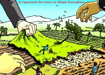 Foncier : le Gabon, seul pays d&rsquo;Afrique centrale ne reconnaissant par le droit foncier coutumier