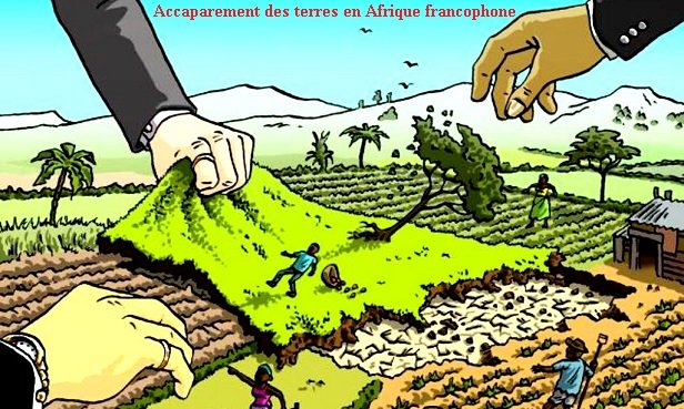 Foncier : le Gabon, seul pays d’Afrique centrale ne reconnaissant par le droit foncier coutumier